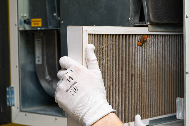 Best Commercial HVAC Duct Cleaning  in Sturgeon, MO