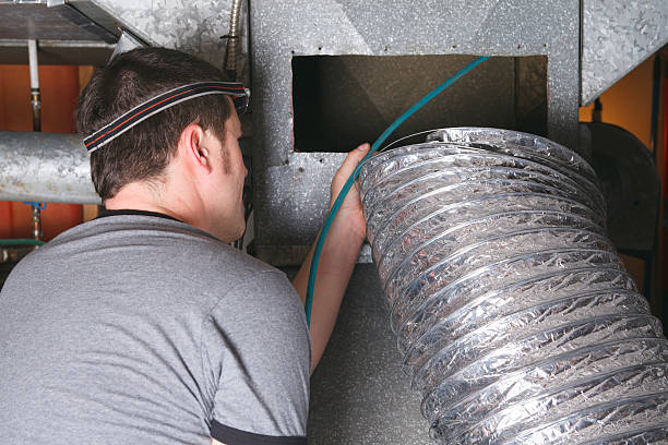 Best Professional Duct Cleaning Services  in Sturgeon, MO
