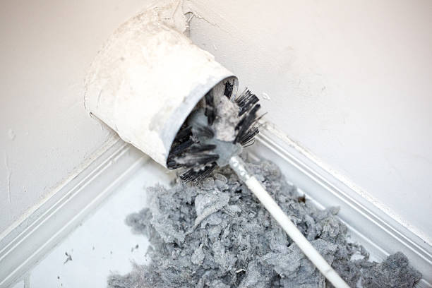 Best Residential Air Duct Cleaning  in Sturgeon, MO